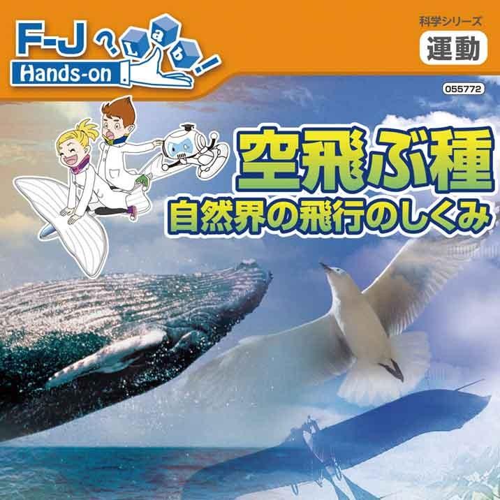 理科実験キット 空飛ぶ種 自然界の飛行のしくみ 自由研究 自由工作 ５年生 ６年生 高学年 At グルーヴプラン Yahoo 店 通販 Yahoo ショッピング