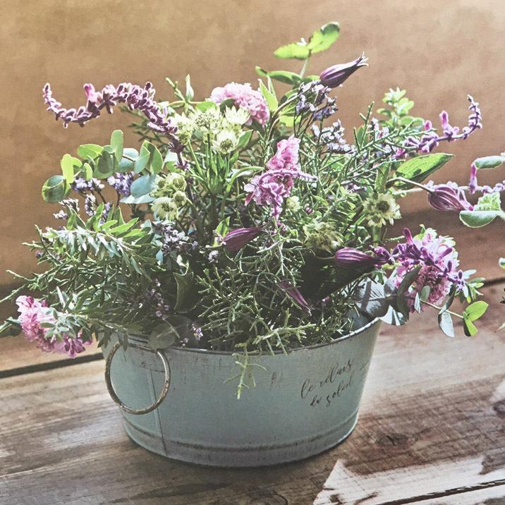 ペールカラーブリキポット おしゃれ ブリキプランター 4号鉢 3 寄せ植え ミントグリーン プランターカバー 鉢カバーにも Ke4815amt グルーヴプラン Yahoo 店 通販 Yahoo ショッピング