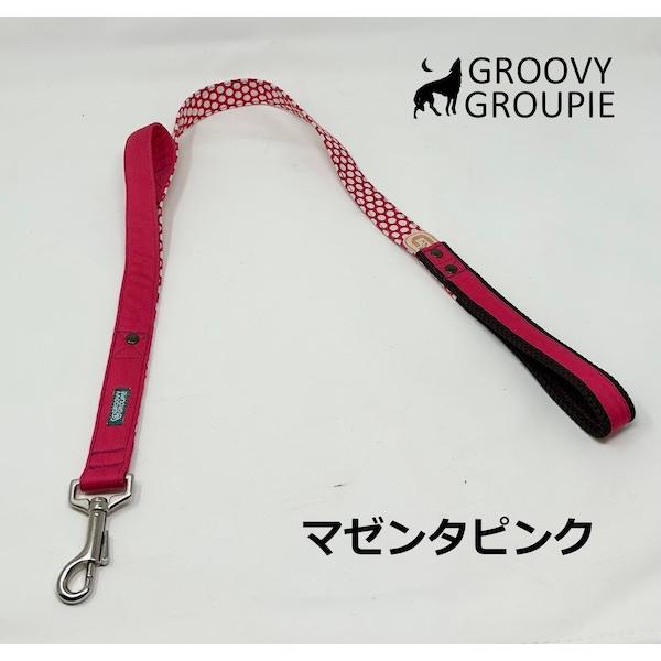 大型犬 リード サイドグリップ  【  カラフル水玉 とツイル 】 安心 安全 ダブルナスカン ダブルリード オプション |  | 05