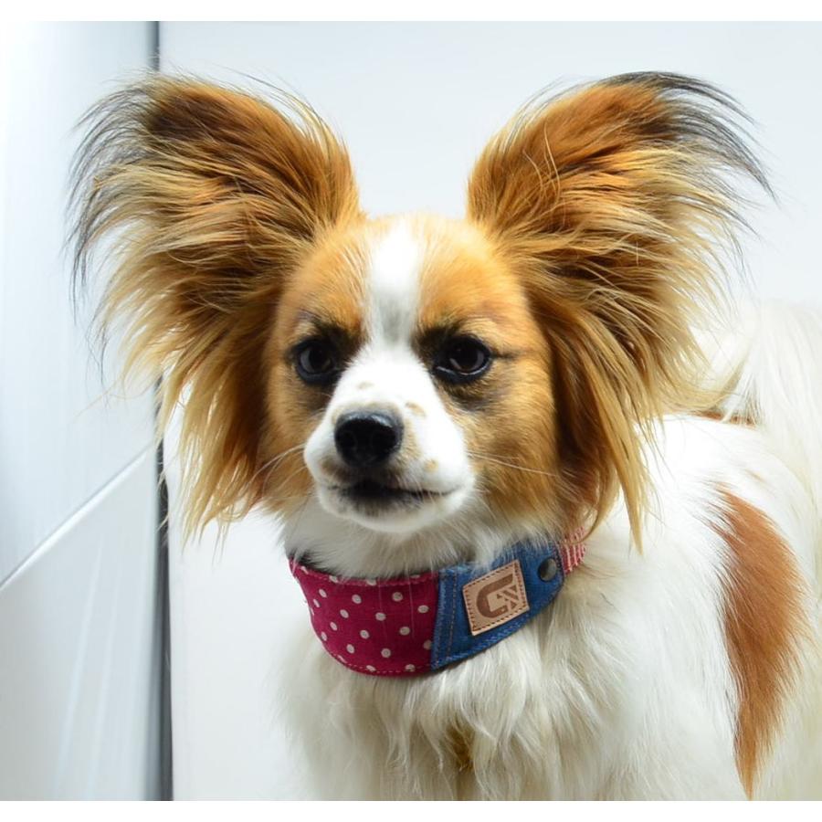 ハーフチョーク 超小型犬 SS XS 幅広 首輪 に変更可能 【 水玉 ドット