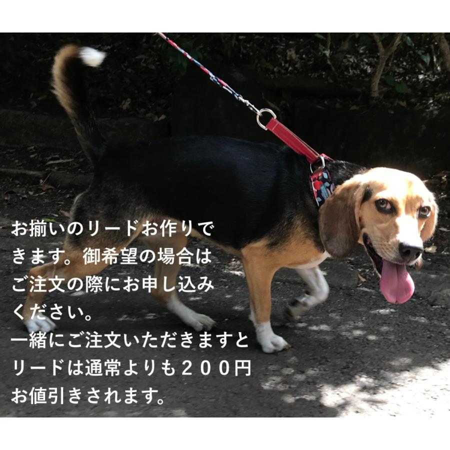 ハーフチョーク 小型犬 S 幅広 首輪 に変更可能 【 ヒッコリー
