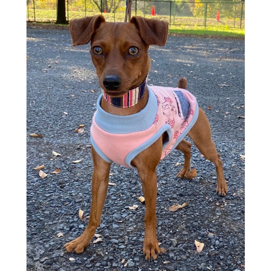 小型犬用】ダルメシアン柄＆ツイル・デニム ミニピン・イタグレ