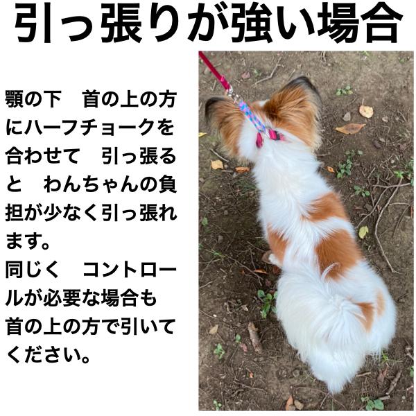 超小型犬・小型犬【SSサイズ】クッション付きで優しい　ナイロン＆パラコート　ハーフチョーク　雨、雪、アウトドアに<br>｜groovygroupie｜17