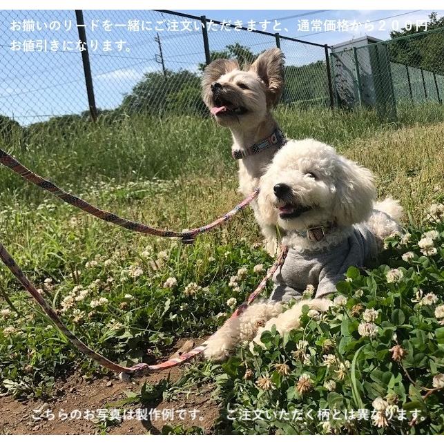 小型犬用【Sサイズ】首輪　プラント＆デニム&レザー【オプションでダブルDカンに変更可能】｜groovygroupie｜15