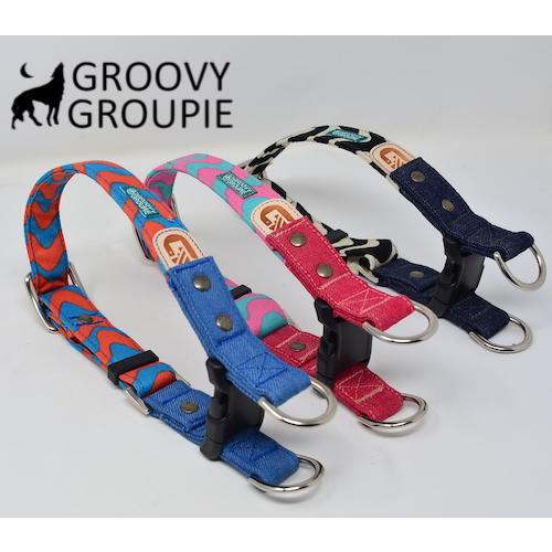 オーダーメイド首輪3点セット imgrc0147372220.jpg