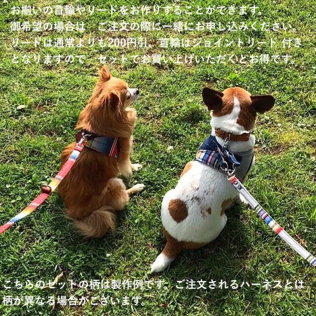 大きな水玉＆デニム　【大きめ小型犬用Mサイズ】　ソフトベスト型　ボディハーネス   胴輪　　セミオーダーでピッタリサイズ｜groovygroupie｜12