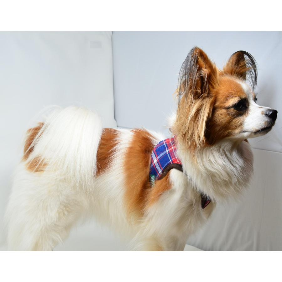 チェック＆デニム(red&blue)【大きめ小型犬用Mサイズ】 ソフト