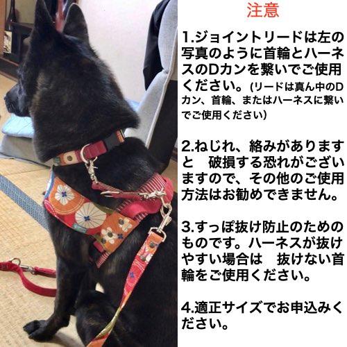 ジョイントリード 【 大型犬用 】 首輪 ハーネス まとめる レバー 