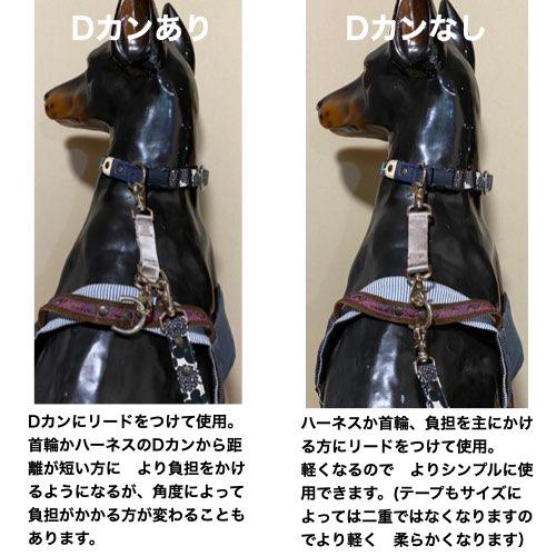 首輪・ハーネス・リード nk ジョイントリード 首輪 ハーネス まとめる レバーナスカン SS 超小型 S