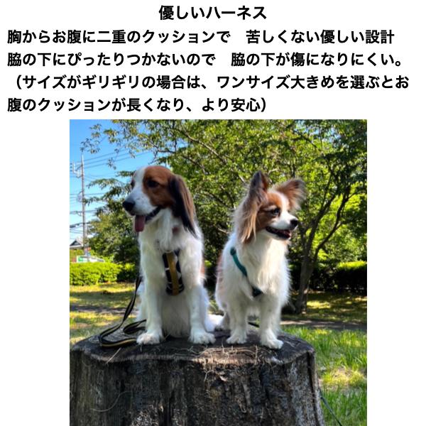 Y型ハーネス 抜けにくい【 超小型犬・小型犬 】【 自分だけのデザイン