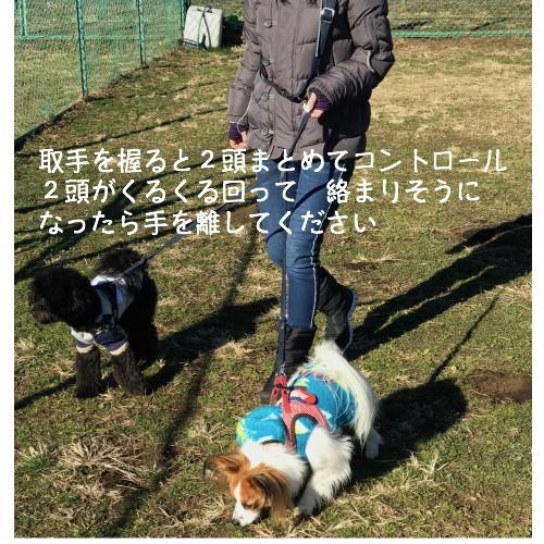 リード部分のみの販売 ショルダーリード 肩掛けリード 小型犬 中型犬 二頭用 Sldld3 Groovygroupie With Dog 通販 Yahoo ショッピング