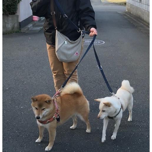 二頭・三頭用】セット【ダブルクッション】多頭飼いショルダー