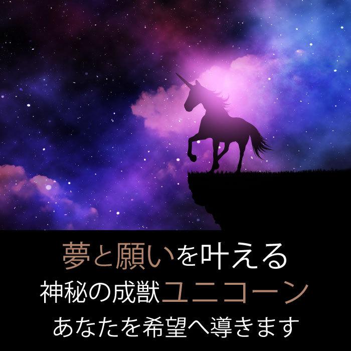 幸運 幸福 ユニコーン お守り アクセサリー ネックレス 金運 幸せ 夢