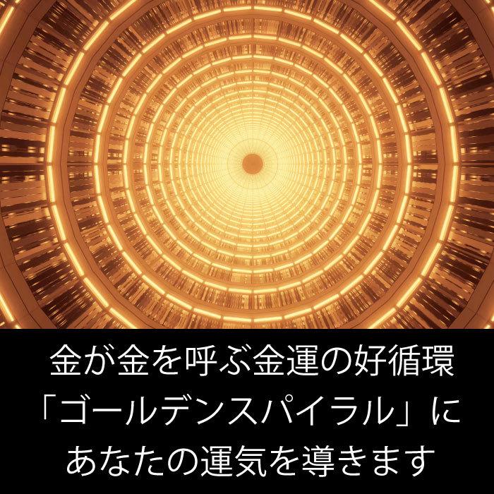 幸運 幸福 ユニコーン お守り アクセサリー ネックレス 金運 幸せ 夢 願い 叶える 運気 アップ おしゃれ シンプル かわいい プレゼント ギフト Neck2 Unicorn 車イラストの専門店 Groovy 通販 Yahoo ショッピング