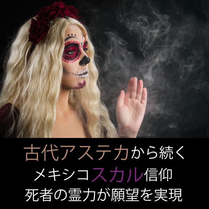 厄除け 魔除け メキシコ 骸骨 ドクロ スカル お守り アクセサリー ネックレス 運気 アップ 金運 おしゃれ シンプル かわいい プレゼント ギフト Neck4 Mexicoskull 車イラストの専門店 Groovy 通販 Yahoo ショッピング