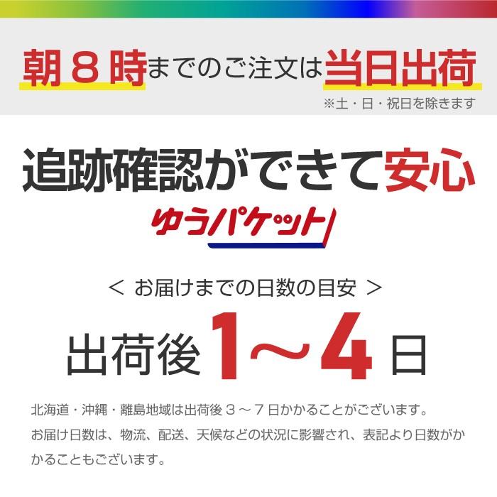 車サイドミラー エンブレム ステッカー トライバル 刺青 入れ墨 おしゃれ ドレスアップ デカール シール｜groovys｜09