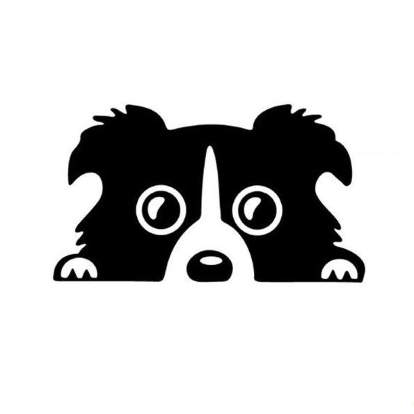 ボーダーコリー 愛犬 犬 ステッカー 車 シルエット シール デカール Sticker 072 車イラストの専門店 Groovy 通販 Yahoo ショッピング