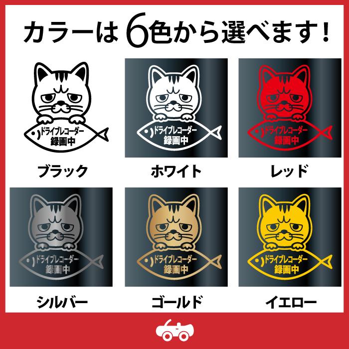 エキゾチック ショートヘア A 猫 ネコ ねこ ドラレコ ドライブ