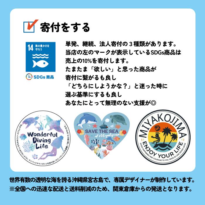 SDGs 宮古島 ココペリ KOKOPELLI ステッカー ラッキー 防水 耐水