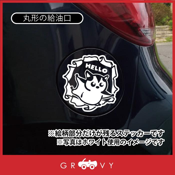 モモンガ 小動物 フクロモモンガ ステッカー こっそりのぞく 車