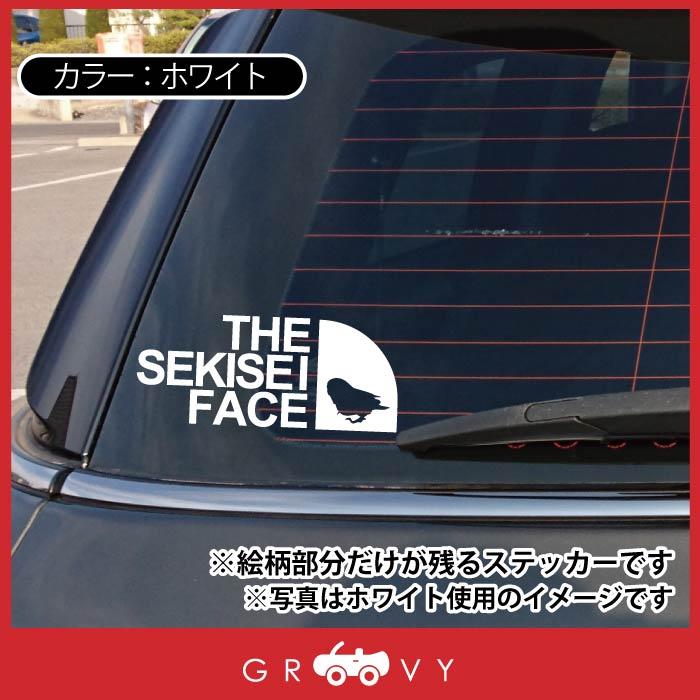 アウトドア ステッカー セキセイ インコ 鳥 トリ おしゃれ 車 シール