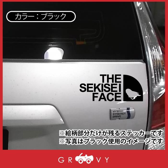 アウトドア ステッカー セキセイ インコ 鳥 トリ おしゃれ 車 シール