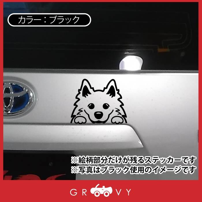 スピッツ 犬 ステッカー こっそり のぞく 覗く チラ見 かわいい 車