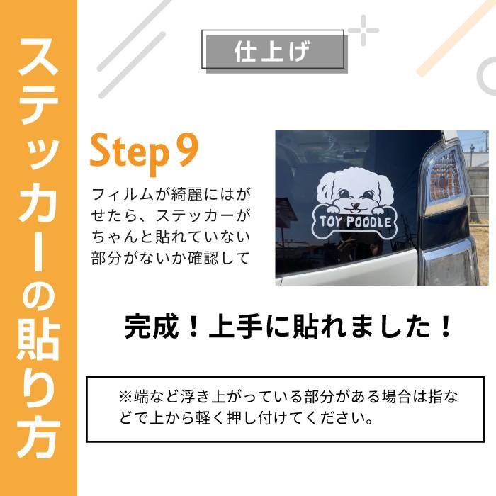 トイプードルがこっそり覗くチラ見ステッカー かわいい犬 車のおしゃれに 自動車用 シルエット シール デカール :sticker-930:CARE DESIGN ヤフー店 - 通販 - Yahoo!ショッピング トイプードルがこっそり覗くチラ見ステッカー かわいい犬 車のおしゃれに 自動車用 シルエット シール デカール :sticker-930:CARE DESIGN ヤフー店 - 通販 - Yahoo!ショッピング