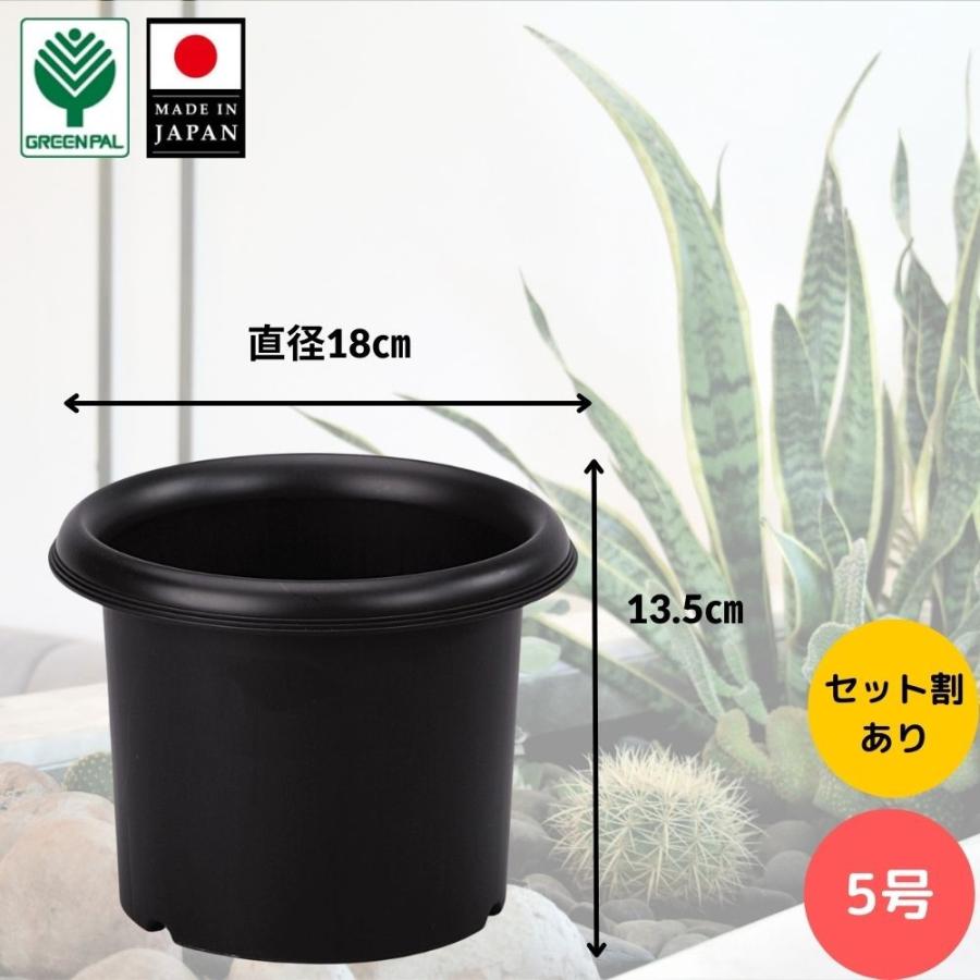 グリーンパル（GREEN PAL） 菊鉢 5号 ブラック 水はけ良い 排水性重視