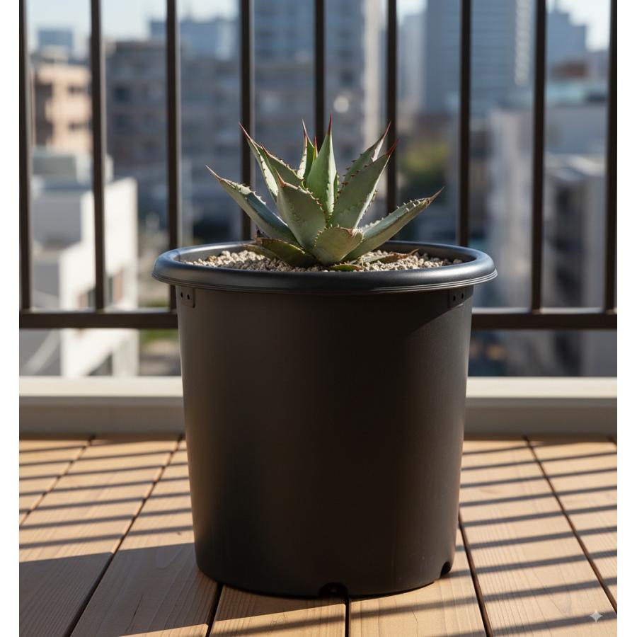 深鉢 グリーンパル 菊鉢 8号 ブラック 排水性◎ 肉厚で丈夫 黒ポット