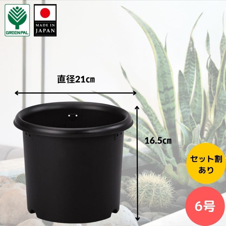 グリーンパル（GREEN PAL） 菊鉢 6号 ブラック 植木鉢 プラスチック鉢
