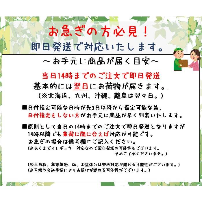 iPhone 12 mini 有機EL フロントパネル 修理キット 修理セット OLED 互換 液晶 タッチパネル 保証付き 保護フィルム付き 工具付き |  | 05