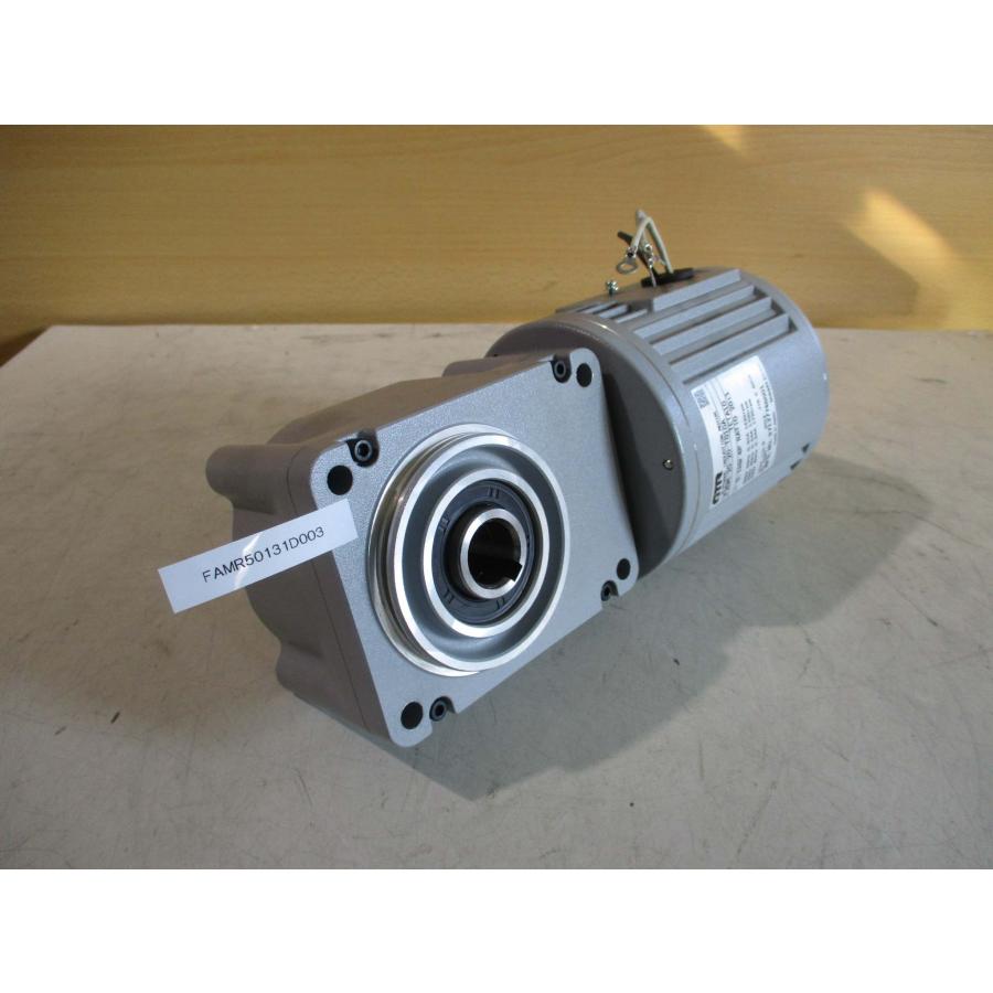 実物提示教育　３枚 実物提示教育 [USG] 【BIGWEB | MTG】日本最大級の激安カード