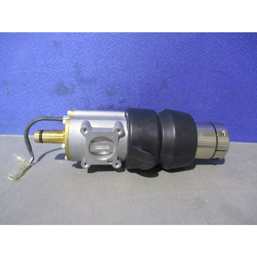 ダグマーベア　ヘレン 02_B319-432.jpg