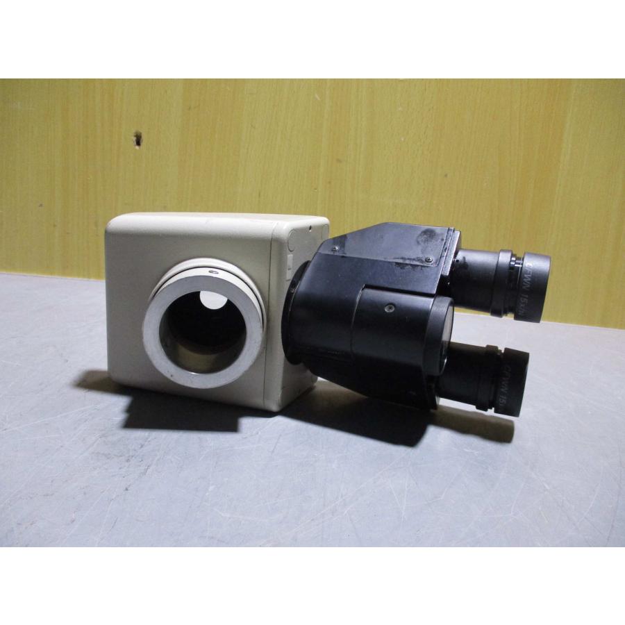 中古 NIKON CFWN 15×/14 顕微鏡 (R60206ALB001) : growdetrading 中古 NIKON CFWN 15×/14 顕微鏡 (R60206ALB001) : growdetrading