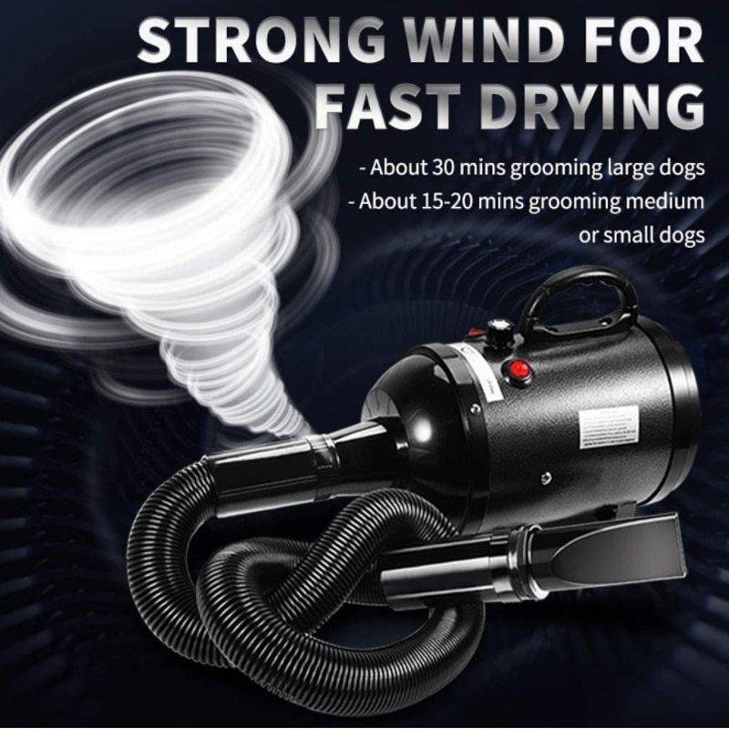最大55%オフ! 犬用ヘアドライヤー2600w ペット用 猫用 グルーミングブロワー 暖かい風 高速ブロー 小型 中型 大型の子犬用 mail2.incendies.mx 最大55%オフ! 犬用ヘアドライヤー2600w ペット用 猫用 グルーミングブロワー 暖かい風 高速ブロー 小型 中型 大型の子犬用 mail2.incendies.mx