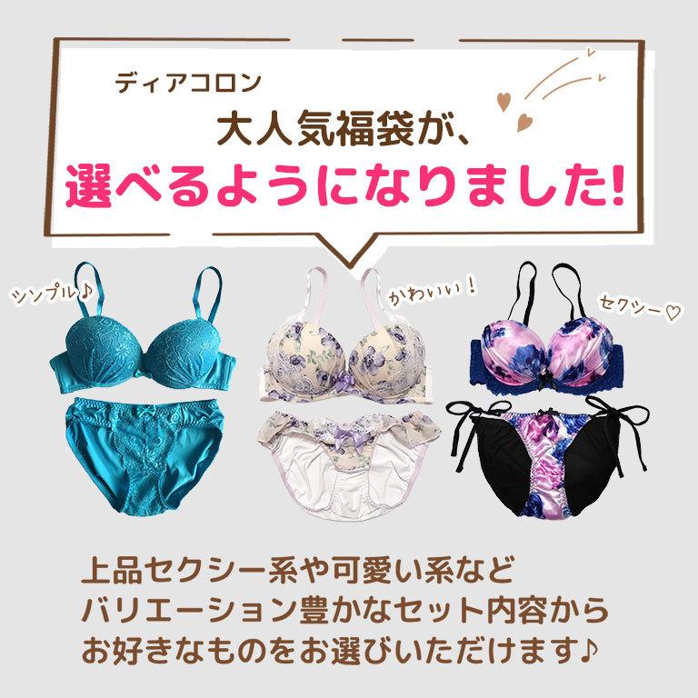 下着女性 上下セット ブラジャー ショーツセット 3点入り 選べる