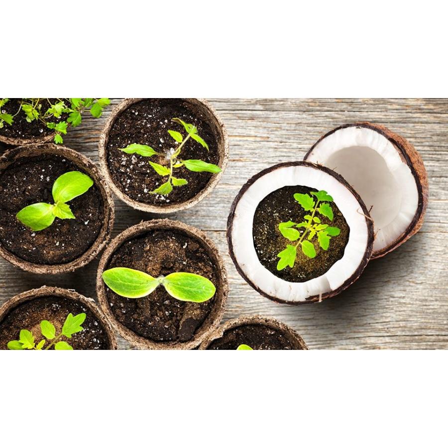 GH フローラ Micro 9.46L : Flora Farm - 通販 - Yahoo!ショッピング
