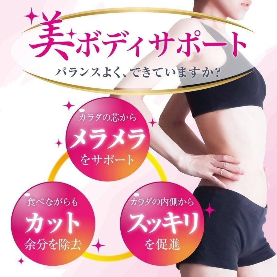 ダイエット サプリ 女性 イヌリン 燃焼系サプリメント フォースコリー Lカルニチン 酵素 デキストリン Cut Off Fire 2個セット 18 0529a いつもココ 通販 Yahoo ショッピング