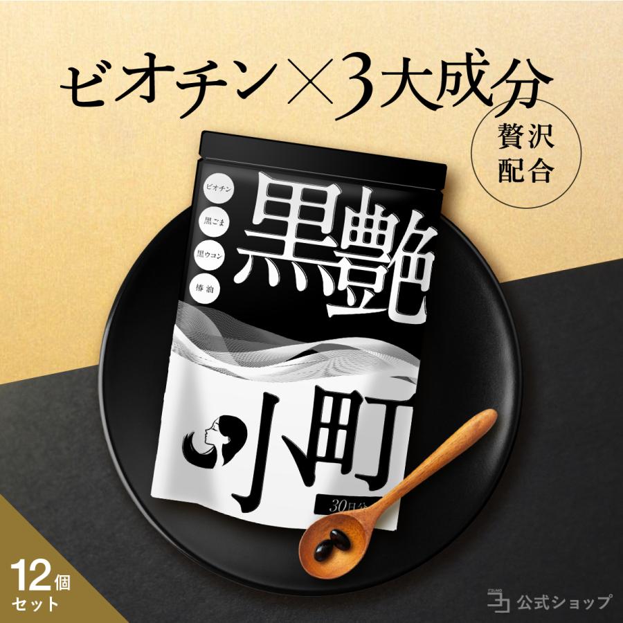 流行に 黒艶小町 12個セット ビオチン サプリ セサミン 亜鉛 サプリメント 黒 生姜 椿 黒ごま 黒ウコン ブラックジンジャー 椿油 4大成分配合 送料無料 Sobrancelhas Com Br