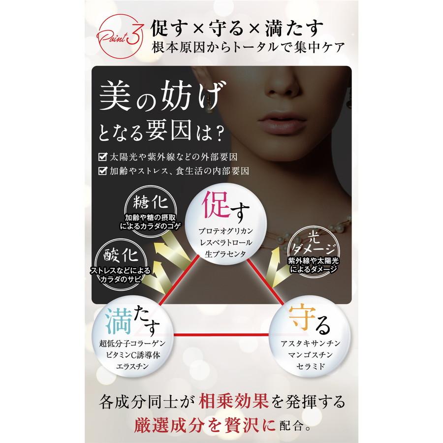 休日 プラセンタ100 コア スタートパック 20箱 銀座ステファニー