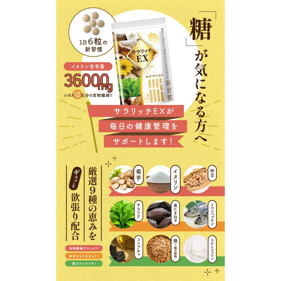 イヌリン サプリ レタス12玉分の食物繊維 サラシア サラリッチEX 2個