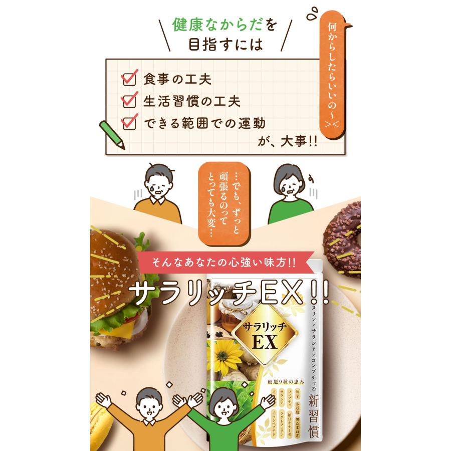 イヌリン サプリ レタス12玉分の食物繊維 サラシア サラリッチEX 2個
