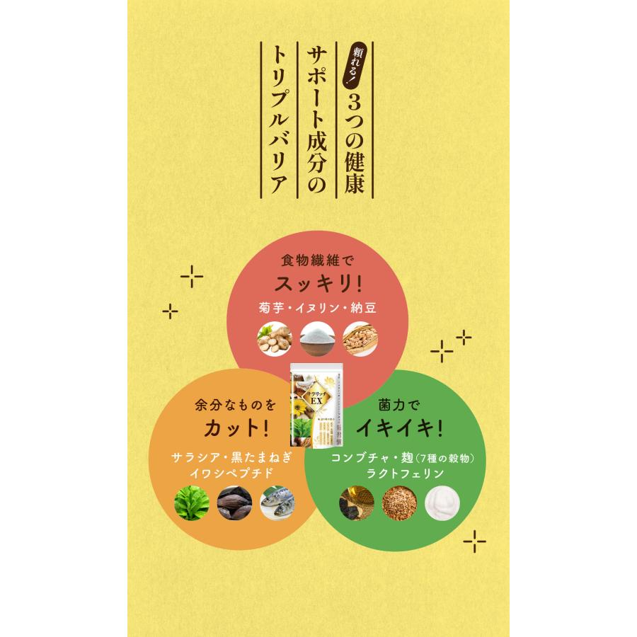 20%OFF 15日23:59迄 イヌリン サプリ レタス12玉分の食物繊維 サラシア 