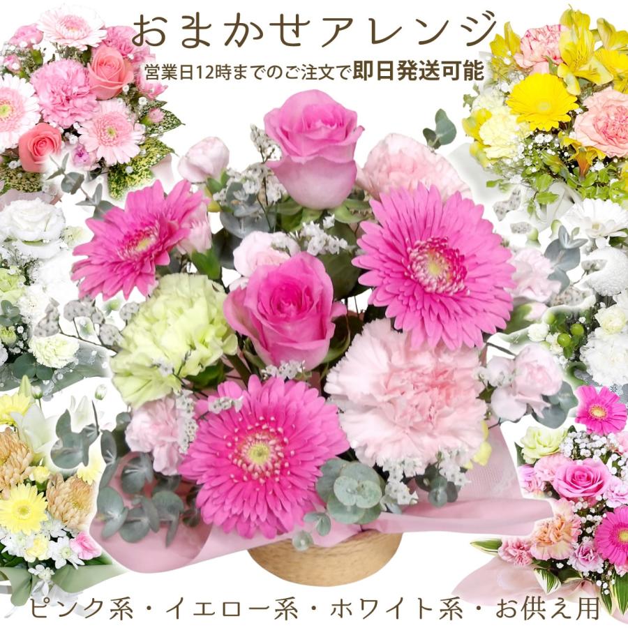 花 誕生日 おまかせアレンジ フラワーアレンジメント 生花 バースデー プレゼント お祝い 結婚記念日 周年 祝い 内祝い 引越し 開店 転勤 卒業 卒園 入学 爆買（Yahoo!・pansyflowers）