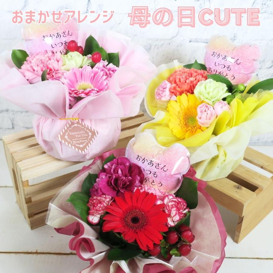 【まだ間に合う！】母の日 ギフト カーネーション 母の日アレンジCUTE  花 生花 2026 アレンジメントカーネーション プチ かわいい レッド ピンク イエロー（Yahoo!・pansyflowers）