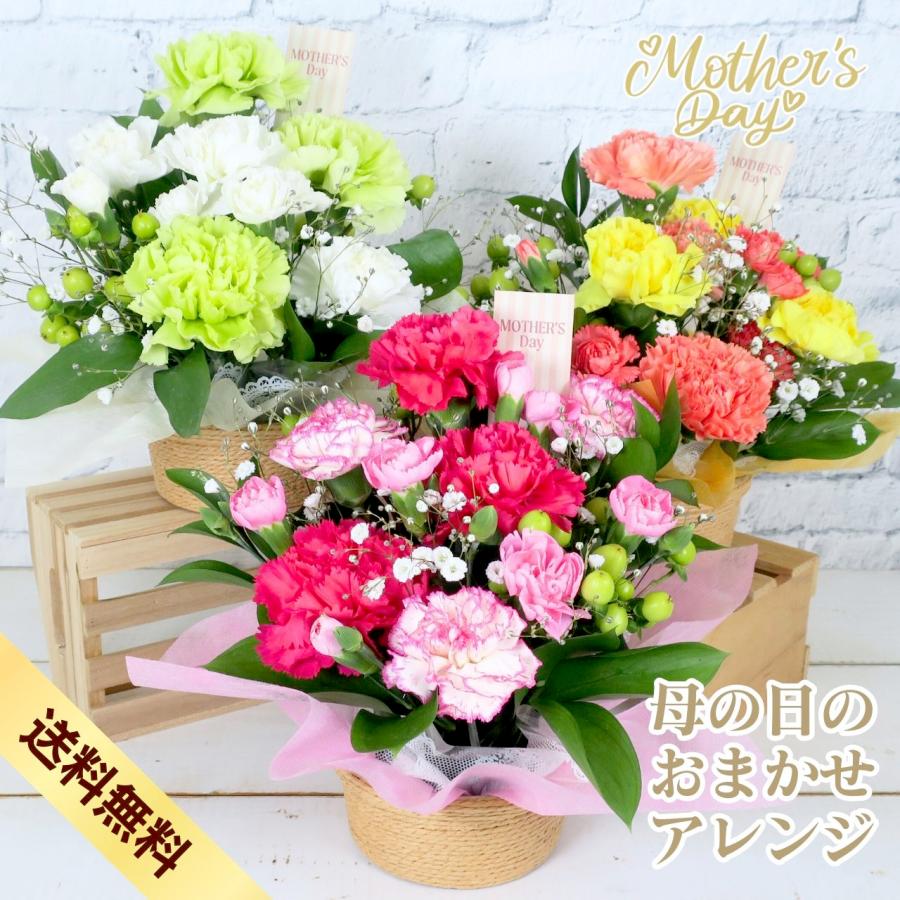 母の日 ギフト カーネーション 母の日のおまかせアレンジ 花 プレゼント 3カラー 2026 フラワーギフト 母の日 生花 アレンジメント ギフト アレンジ（Yahoo!・pansyflowers）