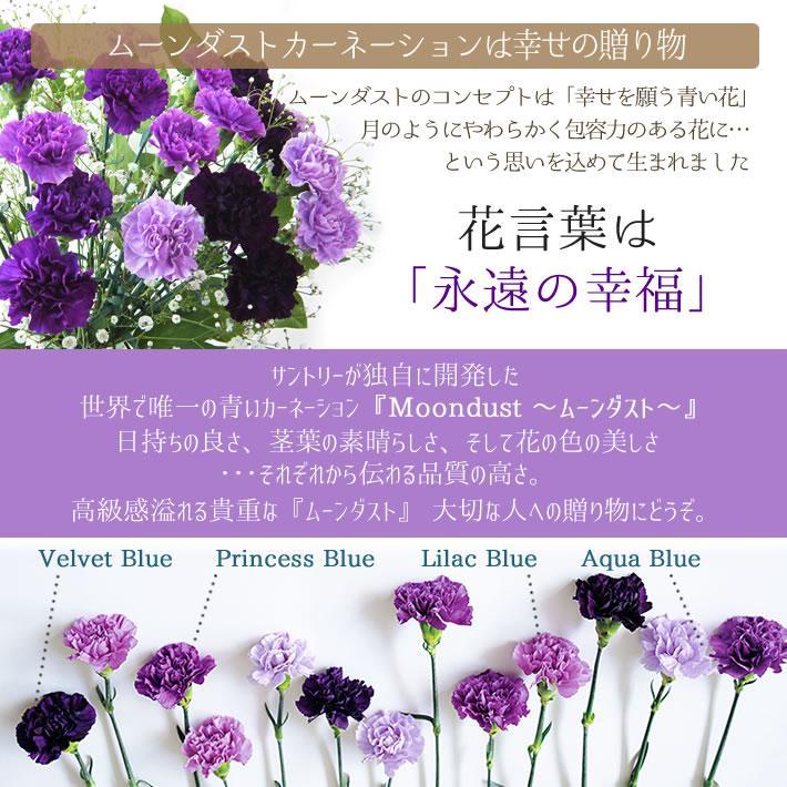 花 誕生日 ギフト プレゼント 青いカーネーション ムーンダスト ヴィオレット 16本入り プレゼント ギフト 希少 カーネーション 青 紫 生花 記念日 父の日 爆買_4