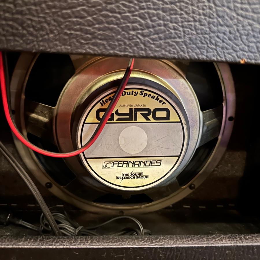 FERNANDES（フェルナンデス） Fernandes GYRO GR-40 Guitar Amplifier