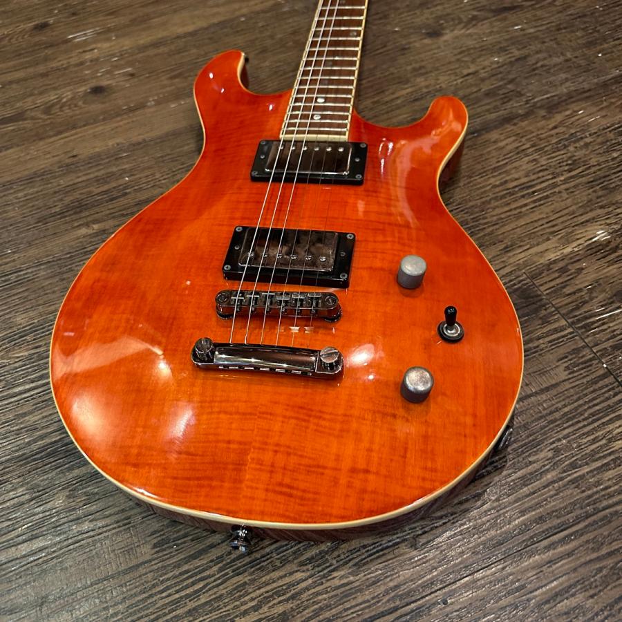 Chatting Bird PRS Shape Electric Guitar エレキギター -a056